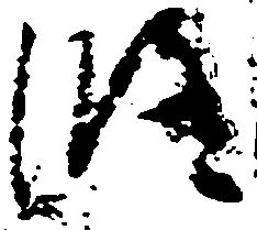 Đã định vị 修