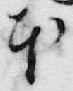 「本」字