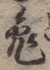 已定位兎