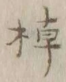 “棹”字