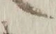 字惑