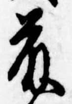 已定位藤