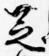 位置 確認된 芝