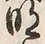字明
