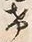 文字兀