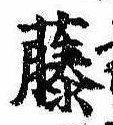 已定位藤