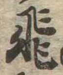 已定位飛