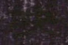 位置 確認된 映