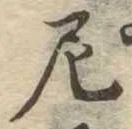 Đã định vị 尼