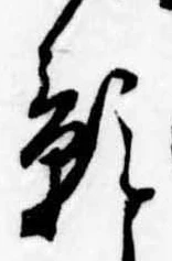 位置 確認된 影