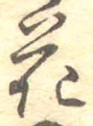 位置 確認된 花