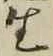 “生”字
