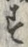𡨸ご