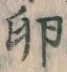 文字卵