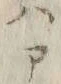 文字 書