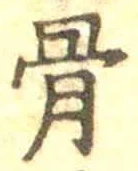 文字 骨