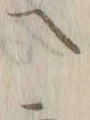 “ソ”字