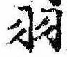 已定位羽