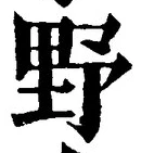 Character 野