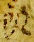 磯，已得其位
