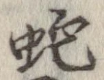 位置 確認된 蛇