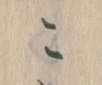 位置定マレルこ