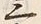 字十