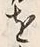字方