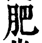 Chữ 肥