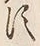 「号」字