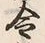Character 令
