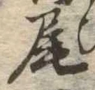 Located 尾