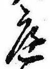 位置 確認된 庭