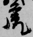 虎の位置