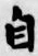 文字自