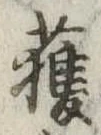 已定位獲