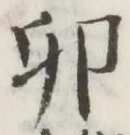 文字 卯