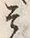 “そ”字