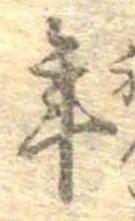 位置 確認된 年