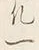 文字凡