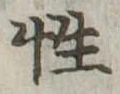 Đã định vị 性