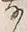 𡨸者