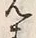 字見