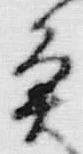 “魚”字