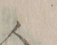 “人”字