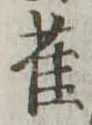 已定位雀