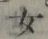 文字 女