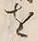 字積