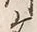 「川」字
