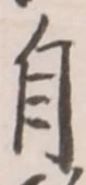 文字自